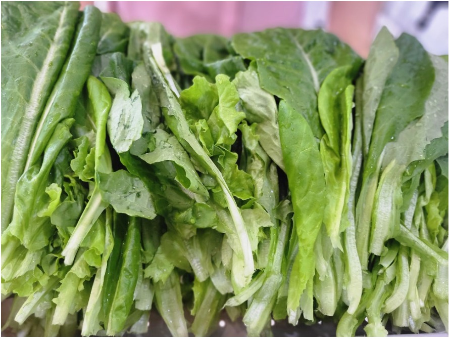 6f6212a566c975cab4dee4614df09e88_1773990125_7616.jpeg 6f6212a566c975cab4dee4614df09e88_1773990125_7616.jpeg